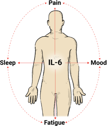 elevated IL-6 levels may be associated with symptoms