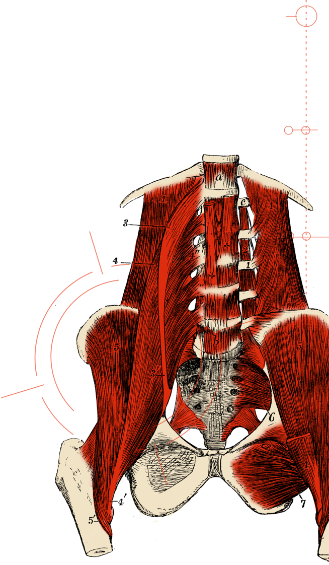 zoomed in inflammation